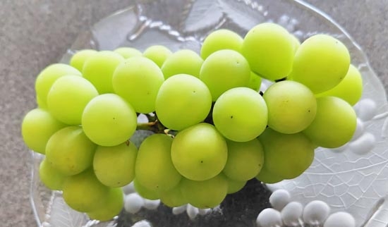 シャインマスカット